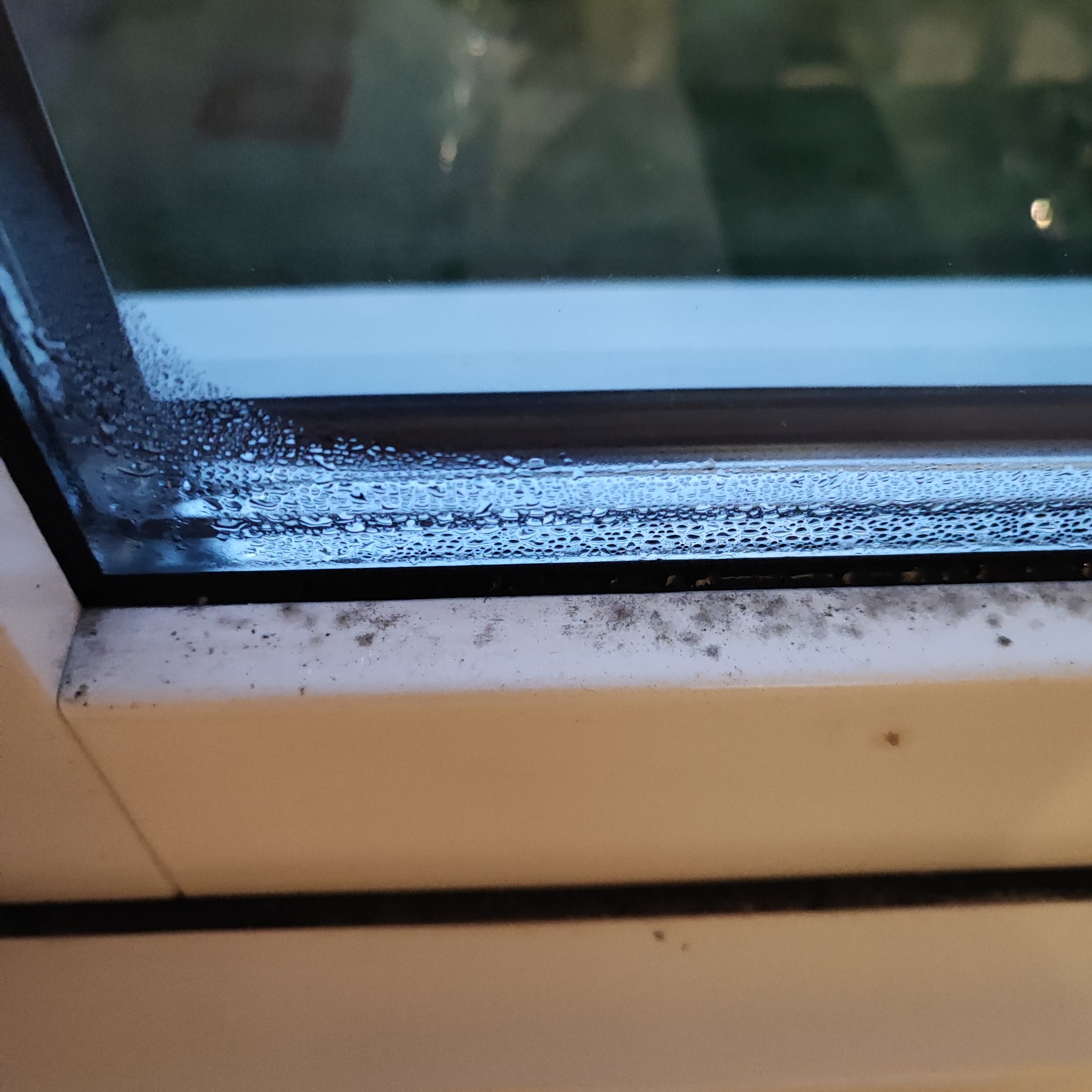 Ventilationsproblem i sommarhus