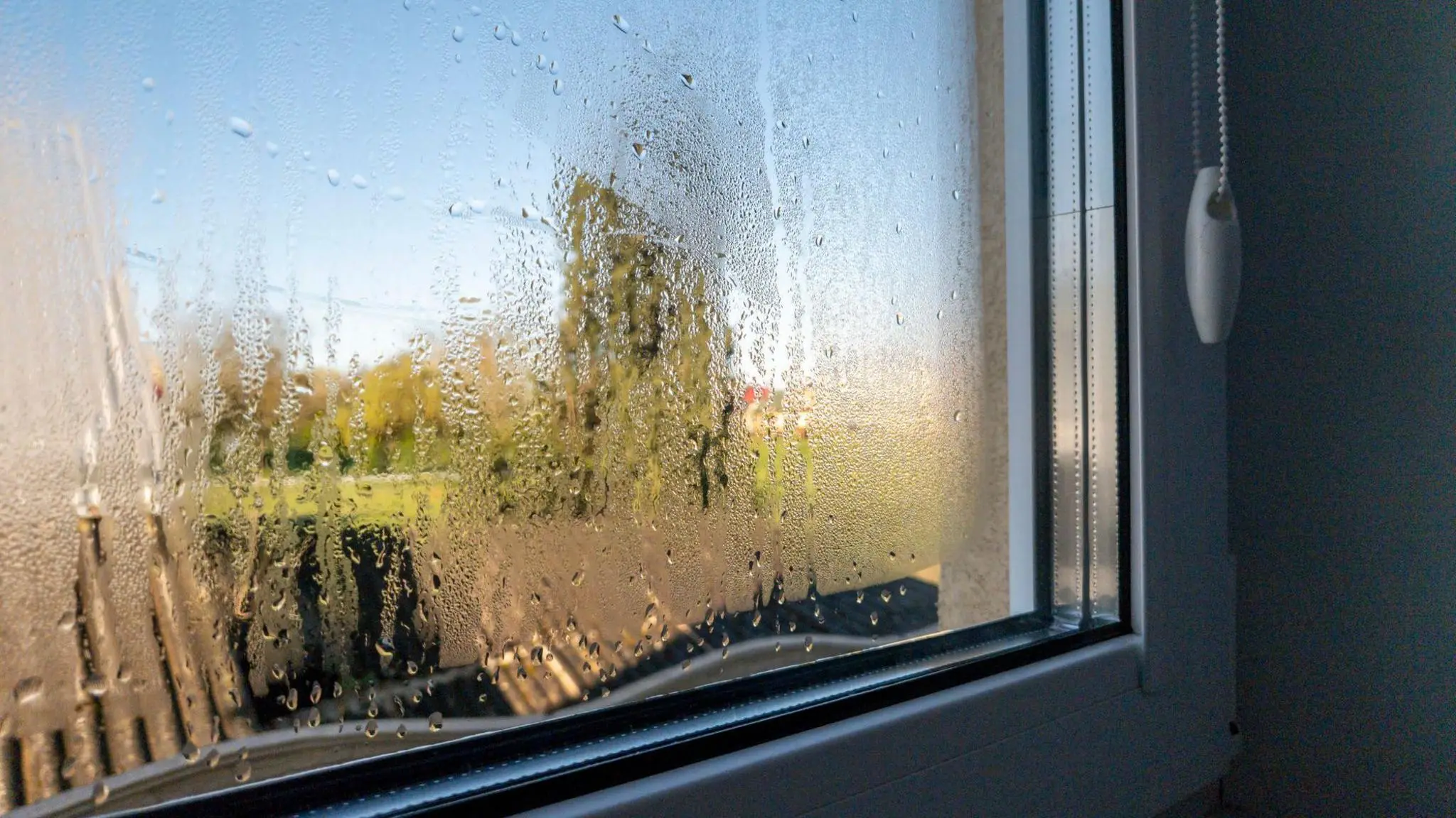 Närbild på fönster med kraftig kondens och vattendroppar på insidan – tydligt tecken på för hög luftfuktighet och dålig ventilation