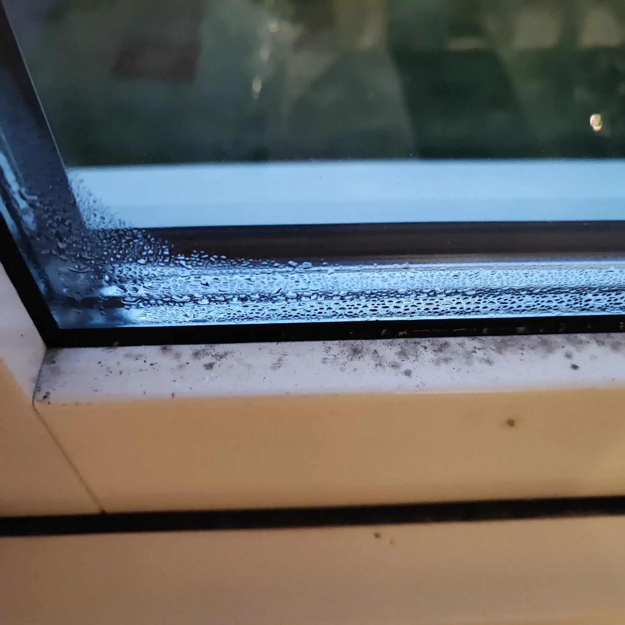 Ventilationsproblem i sommarhus